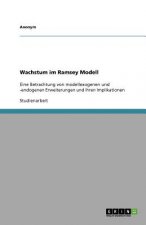 Wachstum im Ramsey Modell