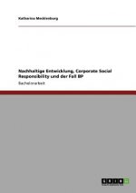 Nachhaltige Entwicklung, Corporate Social Responsibility und der Fall BP