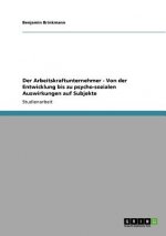 Arbeitskraftunternehmer. Entwicklung, Merkmale und psycho-soziale Auswirkungen