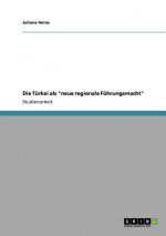 Turkei als neue regionale Fuhrungsmacht