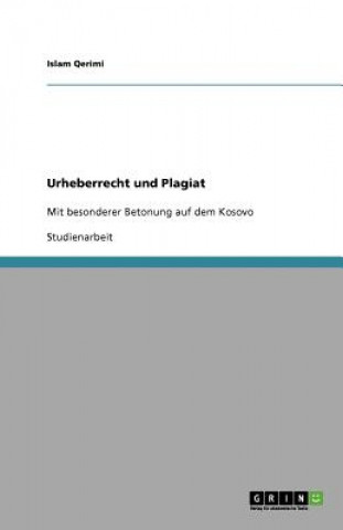 Urheberrecht und Plagiat