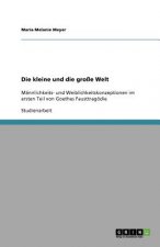 kleine und die grosse Welt