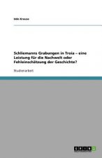 Schliemanns Grabungen in Troia - eine Leistung fur die Nachwelt oder Fehleinschatzung der Geschichte?