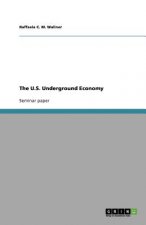 U.S. Underground Economy