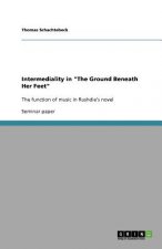 Intermediality in 