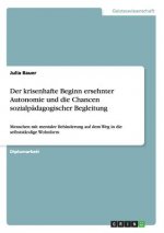krisenhafte Beginn ersehnter Autonomie und die Chancen sozialpadagogischer Begleitung