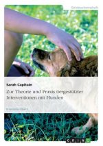 Zur Theorie und Praxis tiergestützter Interventionen mit Hunden