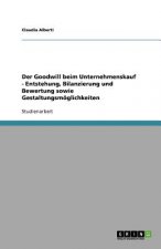 Der Goodwill Beim Unternehmenskauf