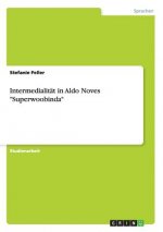 Intermedialitat in Aldo Noves Superwoobinda
