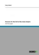 Reasons for the Fall of the Aztec Empire