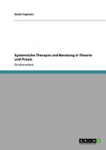 Systemische Therapie und Beratung in Theorie und Praxis
