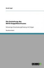 Die Entstehung des NATO-Doppelbeschlusses
