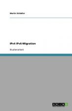 IPv4 IPv6-Migration