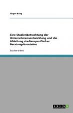 Eine Stadienbetrachtung Der Unternehmensentwicklung Und Die Ableitung Stadienspezifischer Beratungsbausteine