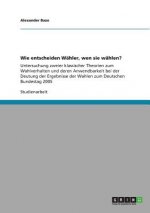 Wie entscheiden Wahler, wen sie wahlen?