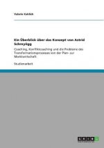 UEberblick uber das Konzept von Astrid Schreyoegg