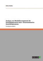 Analyse von Modellierungstools fur Geschaftsprozesse bzw. wissensintensive Geschaftsprozesse