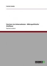 Karriere im Unternehmen - Mikropolitische Einflusse
