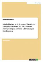 Moeglichkeiten und Grenzen oeffentlicher Foerdermassnahmen fur KMUs in der Metropolregion Bremen-Oldenburg im Nordwesten