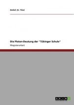 Platon-Deutung der Tubinger Schule