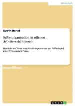 Selbstorganisation in offenen Arbeitsverhältnissen