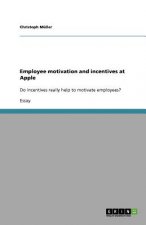 Employee motivation and incentives at Apple