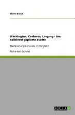 Washington, Canberra, Lingang - Am Reissbrett geplante Stadte