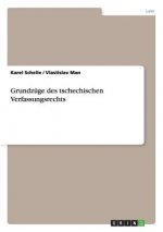 Grundzuge des tschechischen Verfassungsrechts