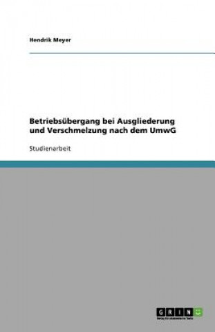 Betriebsübergang bei Ausgliederung und Verschmelzung nach dem UmwG