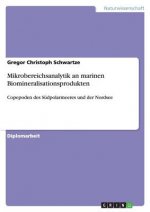 Mikrobereichsanalytik an marinen Biomineralisationsprodukten