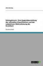 Schizophrenie - Eine Gegenuberstellung der offiziellen Klassifikation und der subjektiven Wahrnehmung der Krankheit
