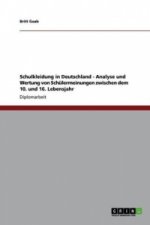 Schulkleidung in Deutschland - Analyse und Wertung von Schulermeinungen zwischen dem 10. und 16. Lebensjahr