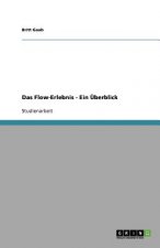 Flow-Erlebnis - Ein UEberblick