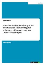 Non-photorealistic Rendering in der medizinischen Visualisierung zur verbesserten Kontrastierung von CT/PET-Darstellungen