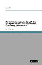 Die Wirtschaftsgeschichte der USA - Ein gelungenes Beispiel der ökonomischen Entwicklung eines Landes?!