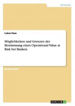 Möglichkeiten und Grenzen der Bestimmung eines Operational Value at Risk bei Banken