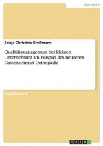 Qualitatsmanagement bei kleinen Unternehmen am Beispiel des Betriebes Gassenschmidt Orthopadie