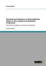 Ethnizitat und Tribalismus in Afrika sudlich der Sahara in ihrer sozialen und raumlichen Problematik