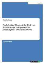 Postkoloniale Blicke auf das Werk von Rudolfo Anaya