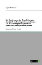 UEbertragung der Grundsatze zum Ausgleich ehebedingter Zuwendungen auf den Vermoegensausgleich von faktischen Lebensgemeinschaften