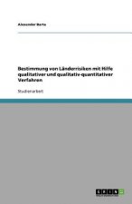 Bestimmung von Landerrisiken mit Hilfe qualitativer und qualitativ-quantitativer Verfahren