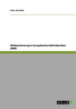 Mitbestimmung in Europaischen Betriebsraten (EBR)