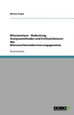 Bilanzanalyse - Bedeutung, Analysemethoden und Einflussfaktoren des Bilanzrechtsmodernisierungsgesetzes