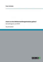 Kann es eine Weltumweltorganisation geben?