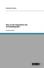 Was ist das Eigentliche der Sozialpadagogik?
