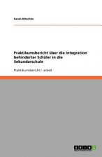 Praktikumsbericht uber die Integration behinderter Schuler in die Sekundarschule