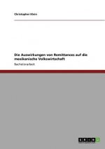 Auswirkungen Von Remittances Auf Die Mexikanische Volkswirtschaft