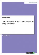mighty role of right angle triangles to integral calculus