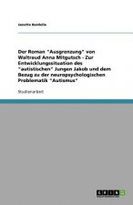 Roman Ausgrenzung von Waltraud Anna Mitgutsch - Zur Entwicklungssituation des autistischen Jungen Jakob und dem Bezug zu der neuropsychologischen Prob