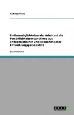 Einflussm glichkeiten Der Arbeit Auf Die Pers nlichkeitsentwicklung Aus Endogenistischer Und Exogenistischer Entwicklungsperspektive